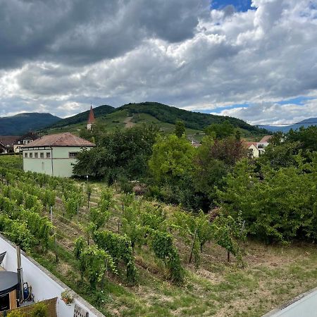 Alsacebnb - Gite 12 Personnes Dans Le Vignoble - Piscine Privee & Spa Ammerschwihr Εξωτερικό φωτογραφία