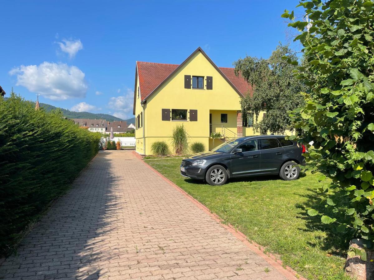 Alsacebnb - Gite 12 Personnes Dans Le Vignoble - Piscine Privee & Spa Ammerschwihr Εξωτερικό φωτογραφία