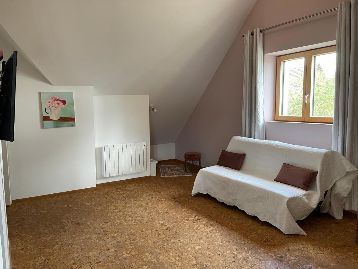 Alsacebnb - Gite 12 Personnes Dans Le Vignoble - Piscine Privee & Spa Ammerschwihr Εξωτερικό φωτογραφία