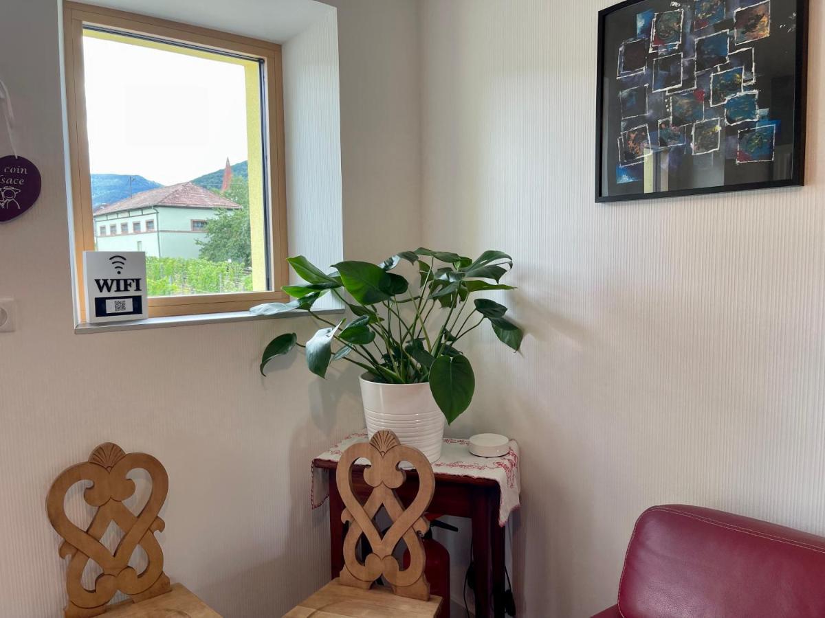 Alsacebnb - Gite 12 Personnes Dans Le Vignoble - Piscine Privee & Spa Ammerschwihr Εξωτερικό φωτογραφία