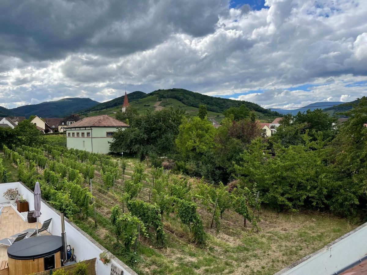 Alsacebnb - Gite 12 Personnes Dans Le Vignoble - Piscine Privee & Spa Ammerschwihr Εξωτερικό φωτογραφία