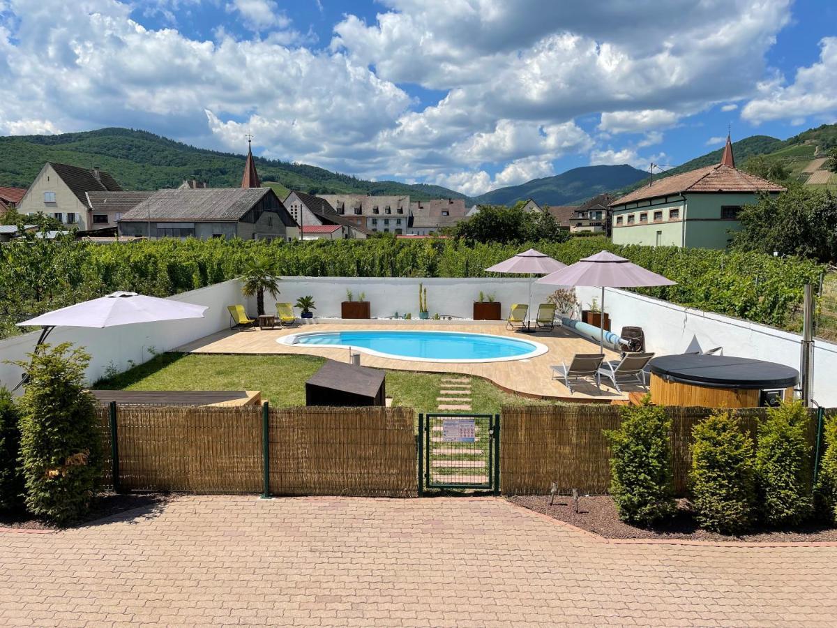 Alsacebnb - Gite 12 Personnes Dans Le Vignoble - Piscine Privee & Spa Ammerschwihr Εξωτερικό φωτογραφία